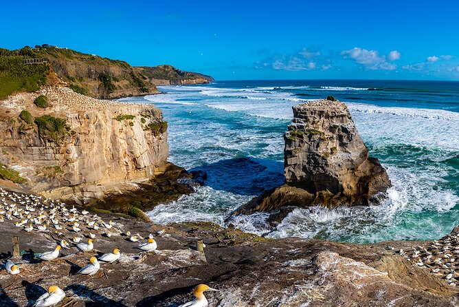 Auckland's Wild West Coast & Black Sand Beaches Tour inc Lunch - Why this five-hour trip works well