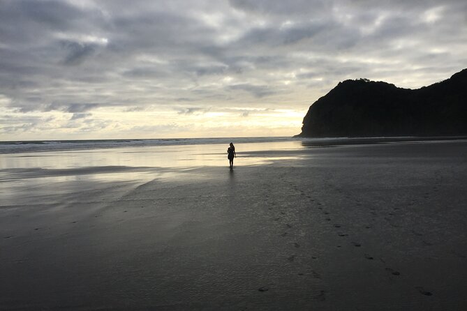 Auckland's Wild West Coast & Black Sand Beaches Tour inc Lunch - Weather, walking, and the small-group setup