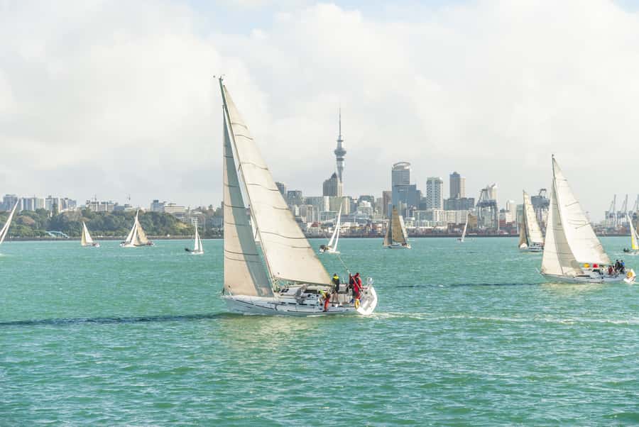 Auckland Scenic Half-Day City Sightseeing Tour - Key points before you book
