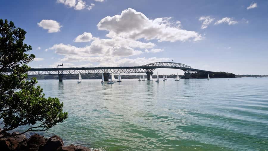 Auckland Scenic Half-Day City Sightseeing Tour - Achilles Point and the Hauraki Gulf
