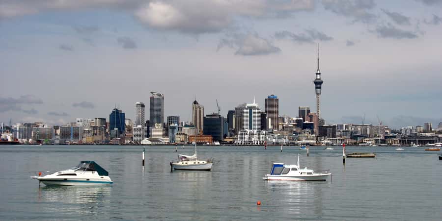 Auckland Scenic Half-Day City Sightseeing Tour - Why this tour works for a first Auckland day