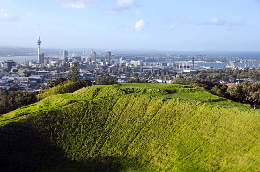 Auckland Scenic Half-Day City Sightseeing Tour - Westhaven Marina and the working waterfront