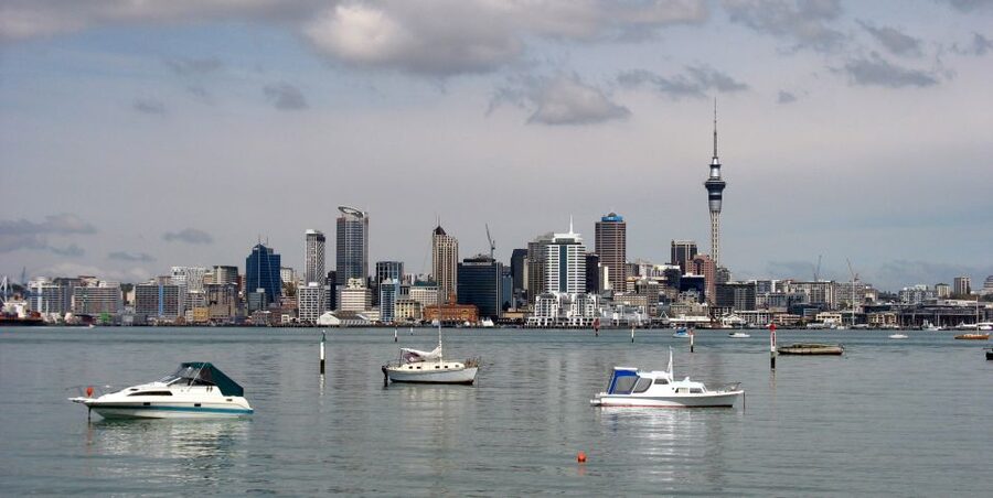Auckland Scenic Half-Day City Sightseeing Tour - Auckland Domain, the museum, Parnell, and the eastern beaches