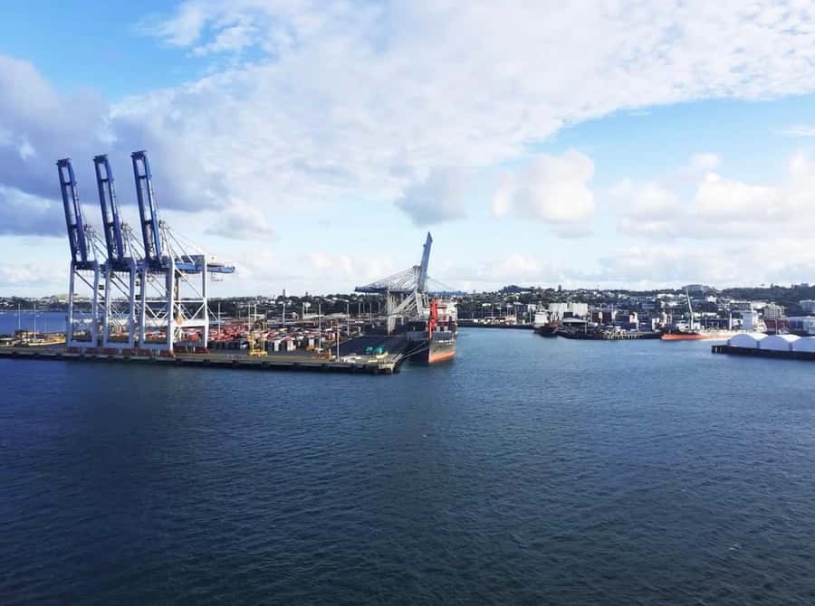 Auckland: Scenic Harbour Cruise with Live Commentary - Key points at a glance