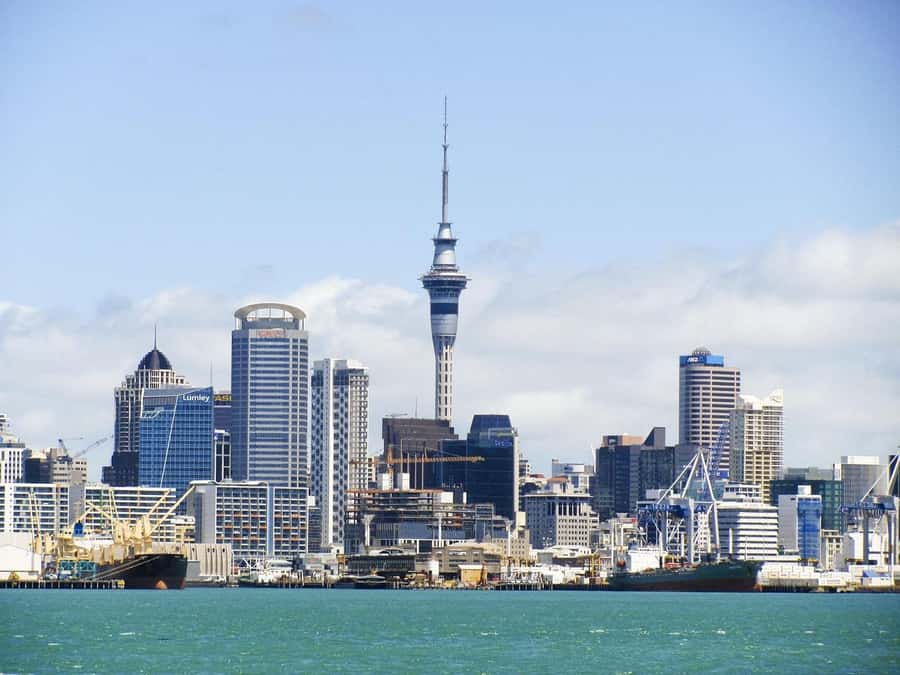 Auckland: Scenic Harbour Cruise with Live Commentary - The first five minutes: a quick safety briefing