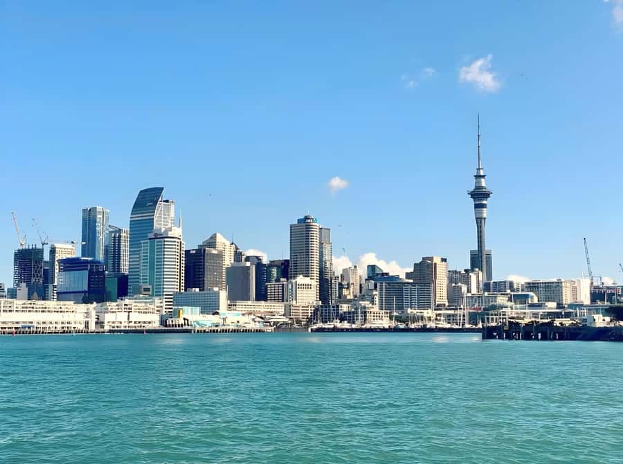 Auckland: Scenic Harbour Cruise with Live Commentary - Live commentary: useful, but choose your seat wisely