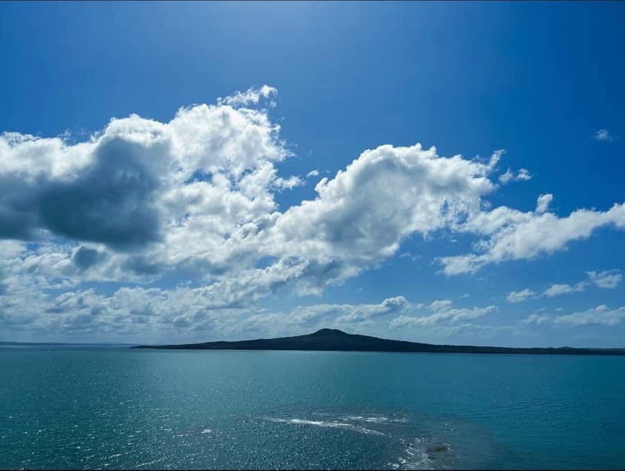 Auckland: Scenic Harbour Cruise with Live Commentary - Drinks, crew, and the relaxed pace