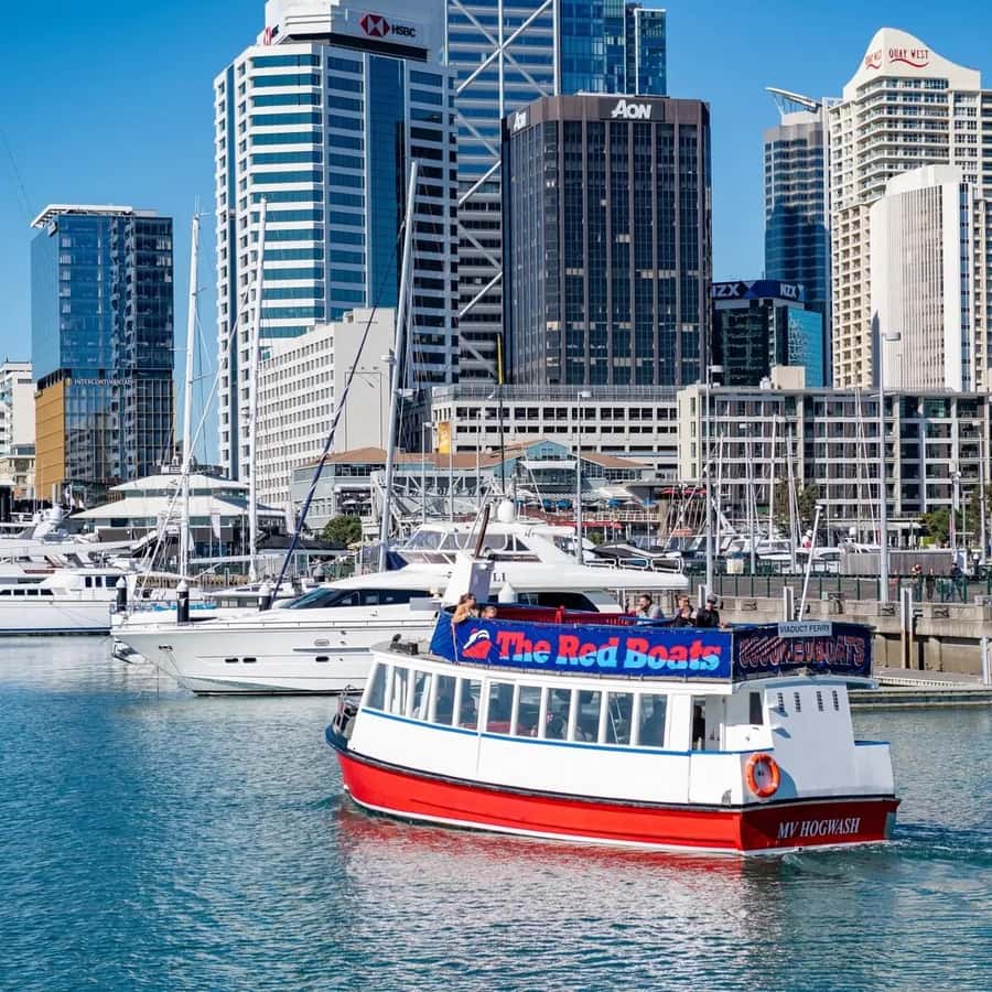 Auckland: Scenic Harbour Cruise with Live Commentary - What $17 really buys you