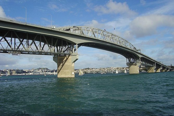 Auckland Scenic Tour : Must-See Sights in Half Day - Why This Half-Day Tour Works in Auckland