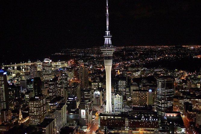 Auckland Shore Excursion: Half-Day Guided City Tour - Crossing the Harbour Bridge changes the view