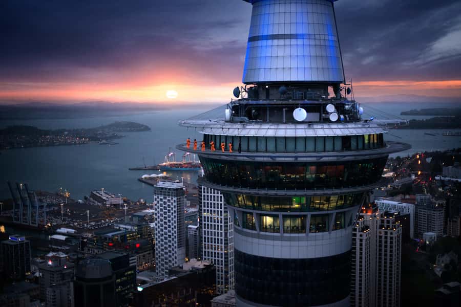 Auckland: Sky Tower SkyWalk - 192m High Edge Walk - Key points before you book