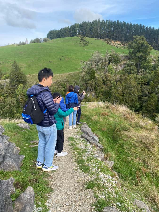 Auckland: Spellbound Glowworm Caves Explorer Tour - The Glowworm Grotto and the quiet boat ride