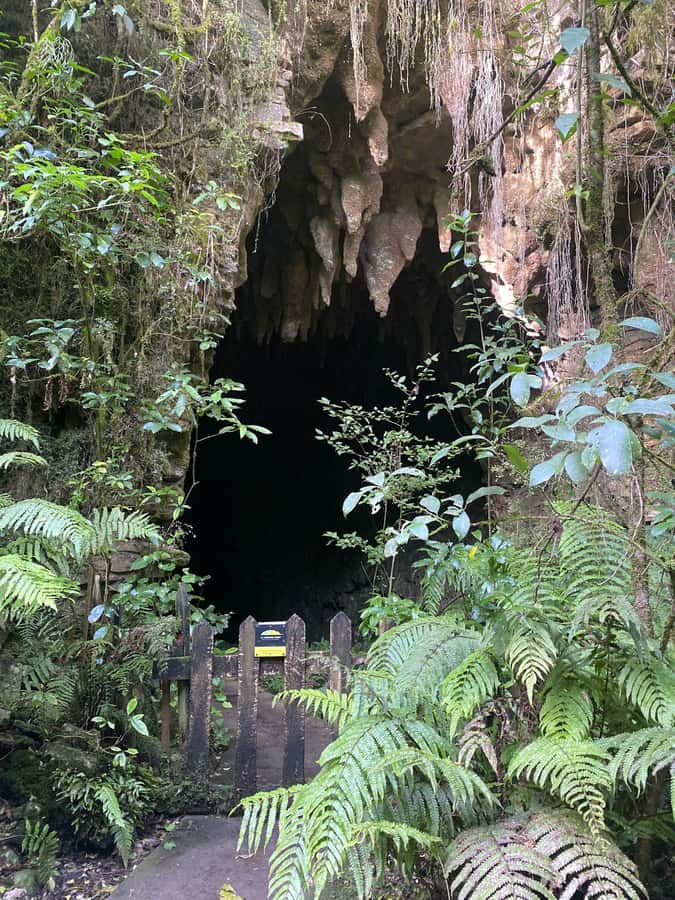 Auckland: Spellbound Glowworm Caves Explorer Tour - What to bring for comfort