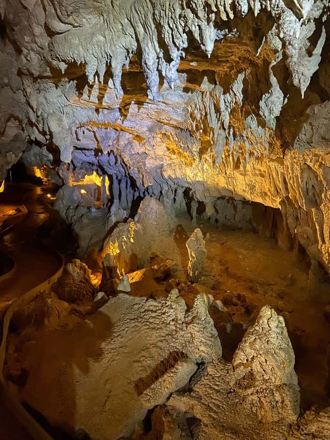 Auckland: Spellbound Glowworm Caves Explorer Tour - Who will enjoy this day most?