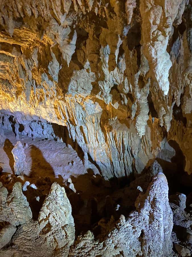 Auckland: Spellbound Glowworm Caves Explorer Tour - Auckland pickup and the road south