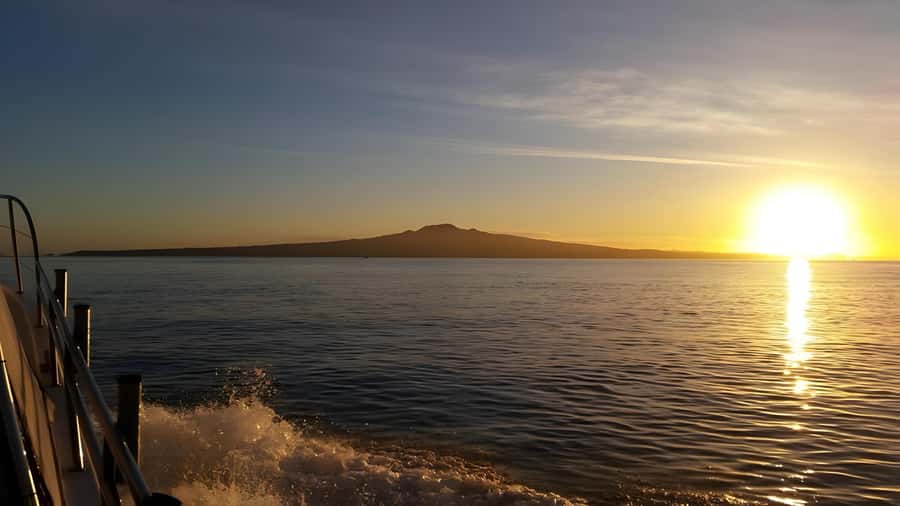 Auckland Sunset Harbour Cruise - Key Points About the Cruise