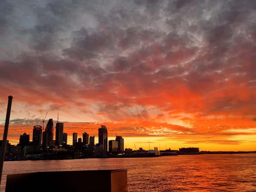Auckland Sunset Harbour Cruise - Setting Out From Westhaven Marina