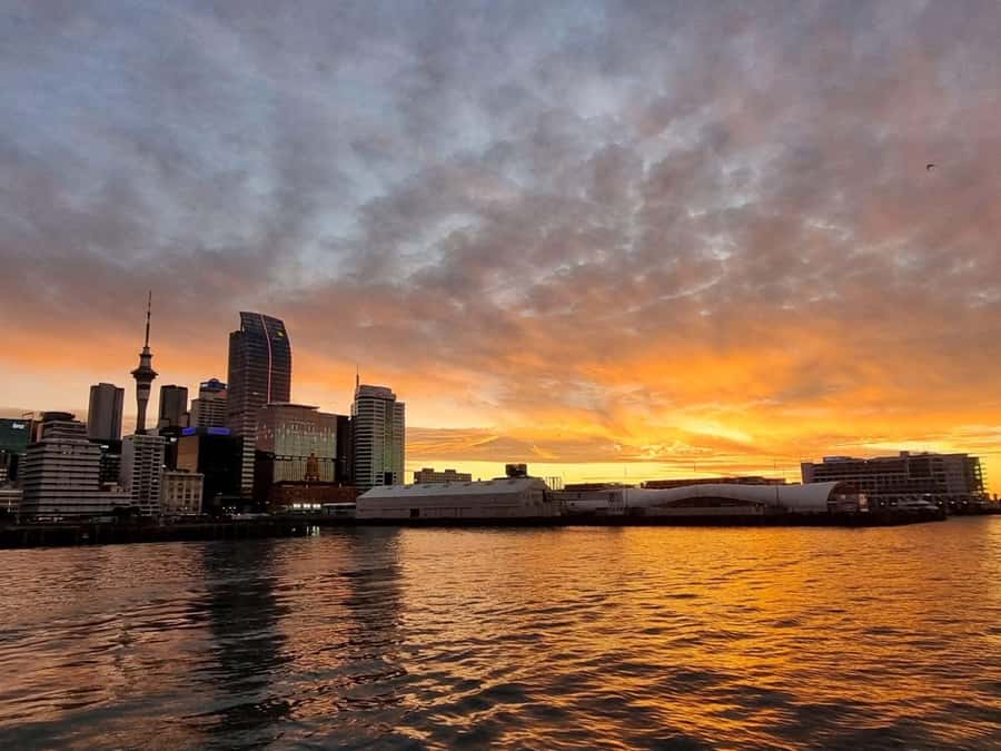 Auckland Sunset Harbour Cruise - The First Look Across Waitematā Harbour