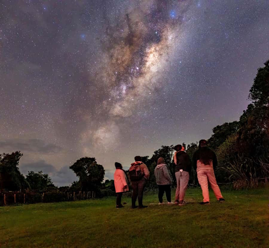 Auckland (Tawharanui): Wild Kiwi Bird Spotting Encounter - Key points before you book