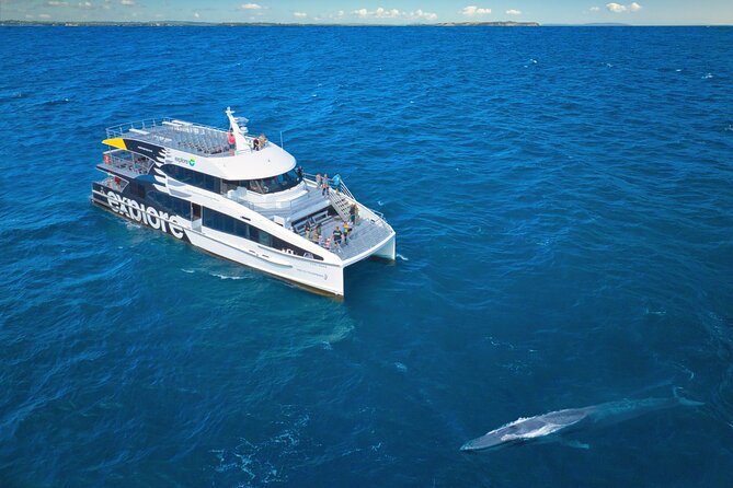 Auckland: Tikapa Moana Dolphin, Whale and Island Cruise - Auckland’s Hauraki Gulf from the water