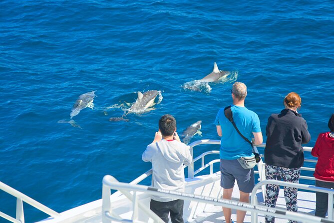Auckland: Tikapa Moana Dolphin, Whale and Island Cruise - Rotoroa Island: walks, beaches, and native wildlife