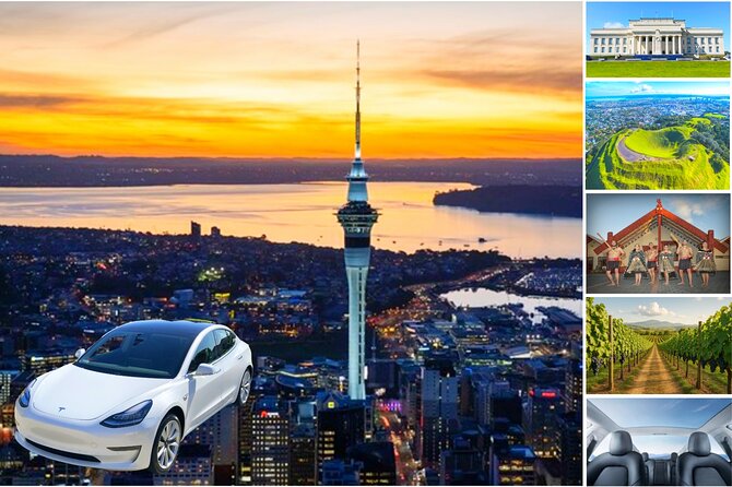 Auckland: Tikapa Moana Dolphin, Whale and Island Cruise - Price, value, and the long return ride