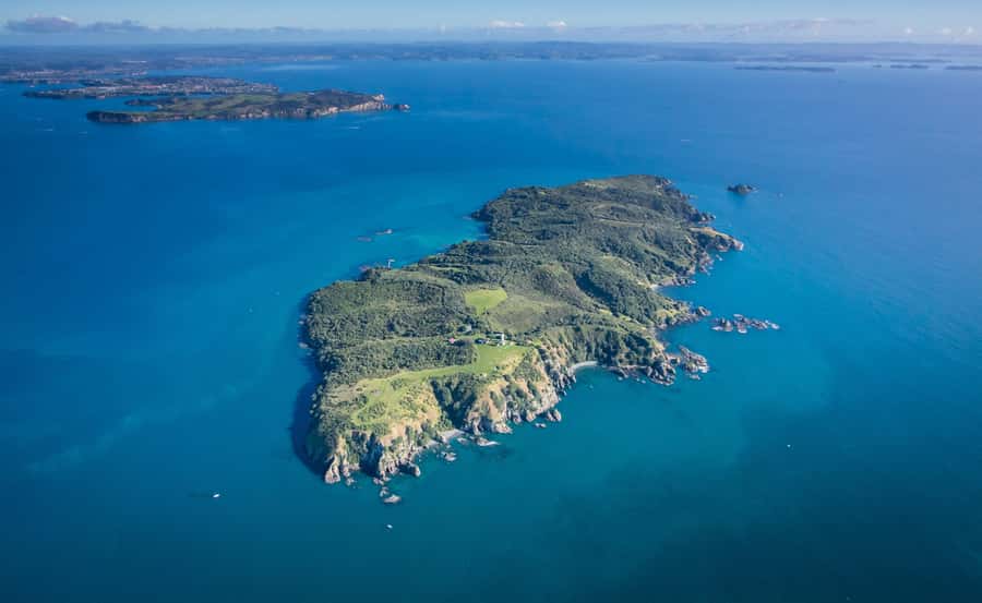 Auckland: Tiritiri Matangi Island Ferry - Key things to know before you go