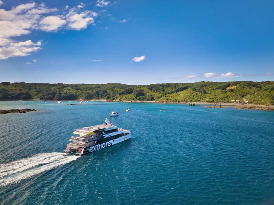 Auckland: Tiritiri Matangi Island Ferry - The Gulf Harbour option saves time