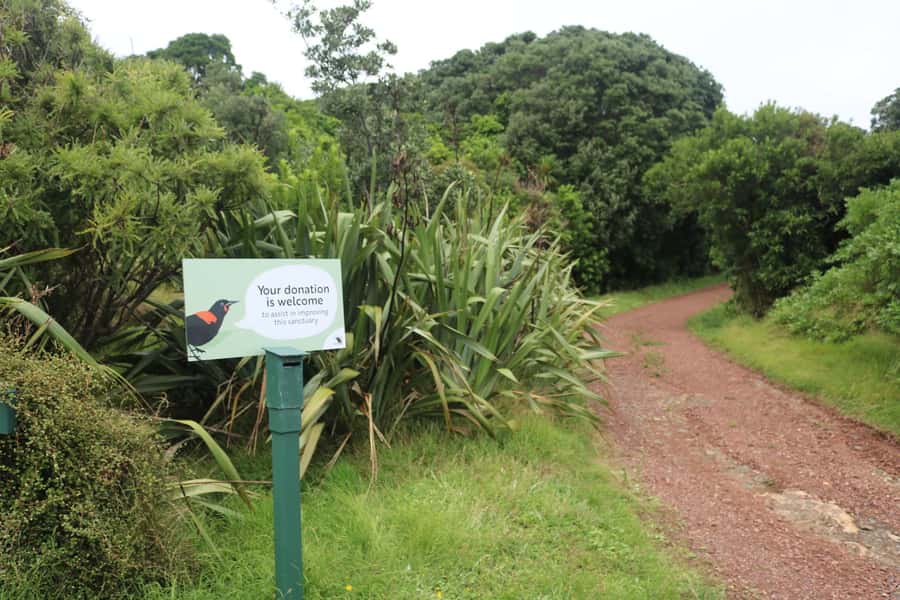 Auckland: Tiritiri Matangi Island Ferry - Beaches, Hobbs Track, and time management
