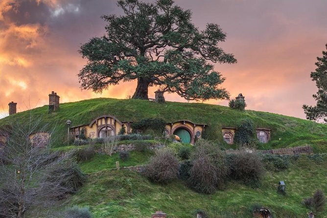 Auckland to Hobbiton Movie Set and Rotorua's Geothermal Valley - The road from Auckland: comfort at a cost
