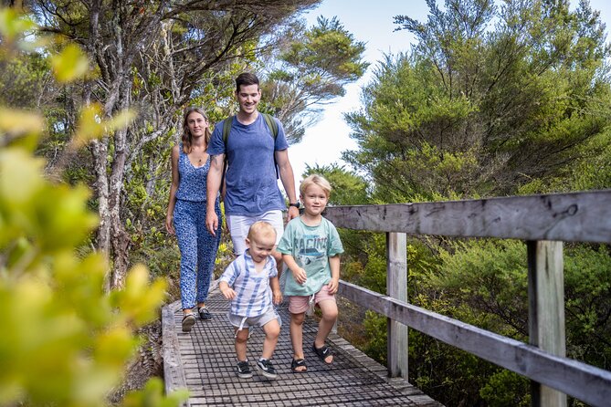 Auckland to Rangitoto Island Ferry - What to pack for a store-free island