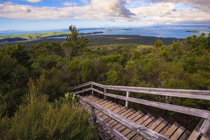Auckland to Rangitoto Island Ferry - The summit walk and its boardwalk stairs