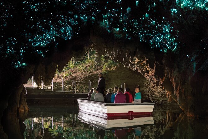 Auckland to Rotorua, Hobbiton and Waitomo 1 Way Small Group Tour - Tirau and the road toward Rotorua