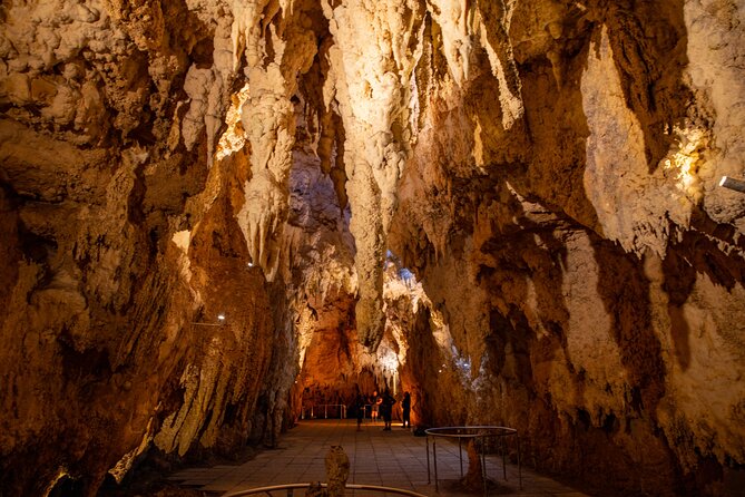 Auckland to Rotorua, Hobbiton and Waitomo 1 Way Small Group Tour - A short first look at Rotorua