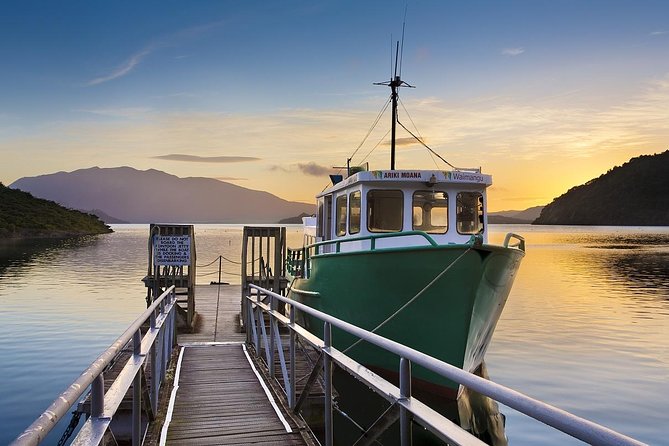 Auckland to Rotorua Private Tour - The long road from Auckland to Rotorua