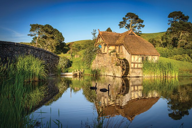 Auckland to Rotorua via Hobbiton Movie Set Tour - One Way - BagShot Row, Bilbo’s house, and the Party Tree