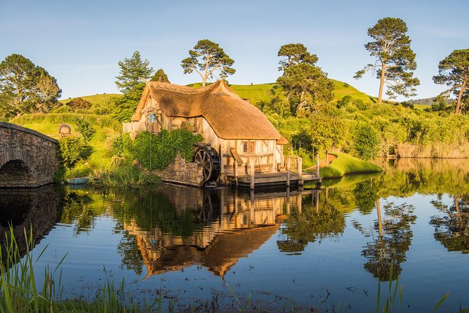 Auckland to Rotorua via Hobbiton Small Group Tour (One Way) - The Waikato road to Hobbiton