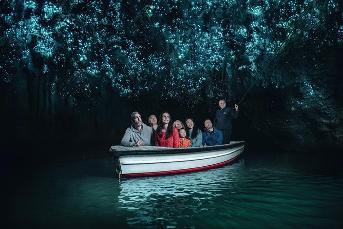 Auckland to Rotorua via Waitomo Caves Small Group Tour (One Way) - Key points at a glance