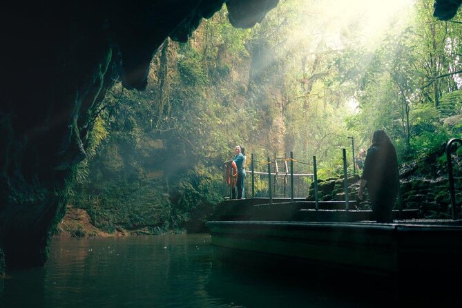 Auckland to Rotorua via Waitomo Caves Small Group Tour (One Way) - A 6:00 am start from Auckland