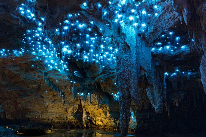 Auckland to Waitomo Caves and Hobbiton Movie Set Private Tour - Why this Auckland day trip works