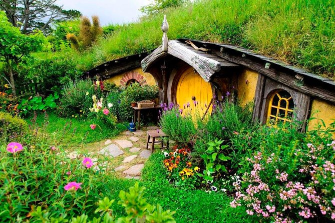 Auckland to Waitomo Caves and Hobbiton Movie Set Private Tour - The human side of the experience