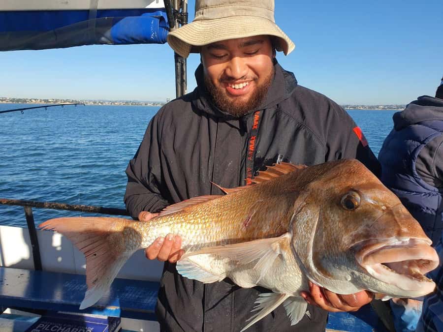 Auckland: Twilight Fishing Charter 5pm - 9:30pm - Key points to know before booking