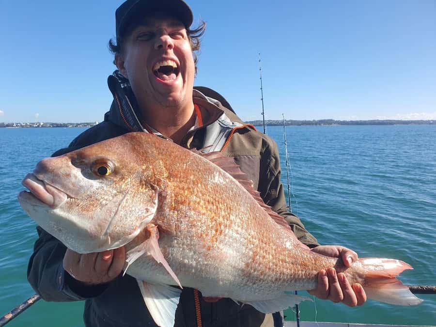 Auckland: Twilight Fishing Charter 5pm - 9:30pm - Setting out from Westhaven Marina at 5:00pm