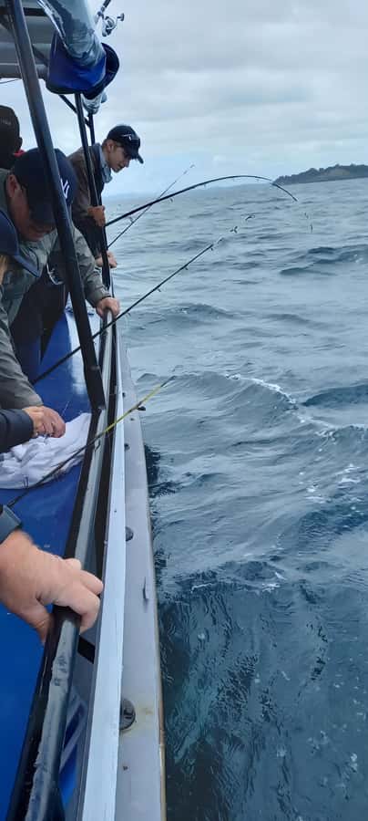 Auckland: Twilight Fishing Charter 5pm - 9:30pm - The crew can make or break the evening