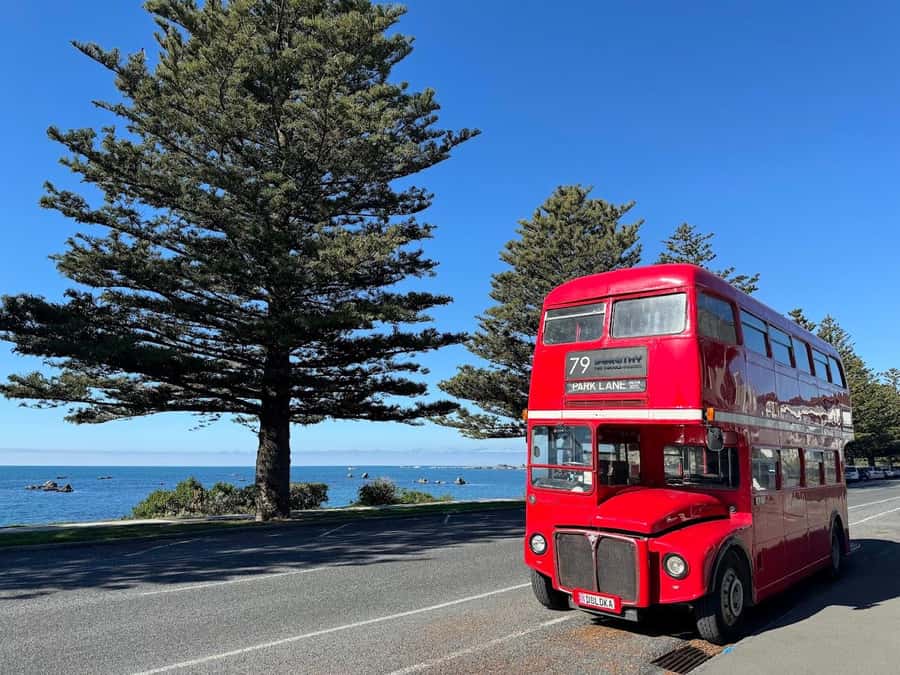Auckland: Vintage Double-Decker Bus Sightseeing Tour - Mission Bay and Auckland’s eastern waterfront
