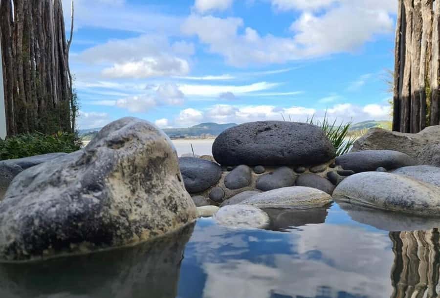 Auckland: Wai-O-Tapu, Maori Haka & Hot Springs Rotorua Tour - Fitness, timing, and practical comfort