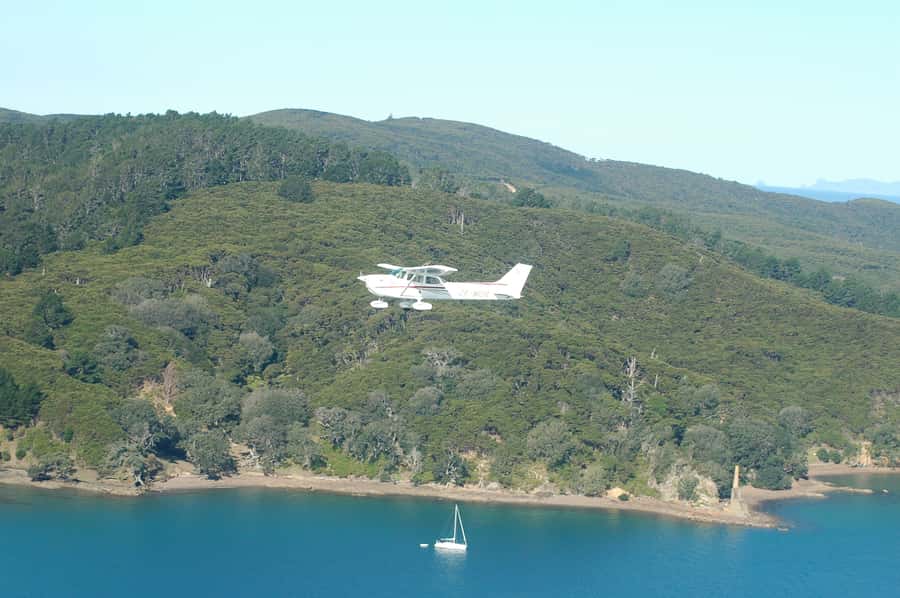 Auckland: Waiheke Island Wine and Food Tasting with Flights - The 45-minute flight to Waiheke Island