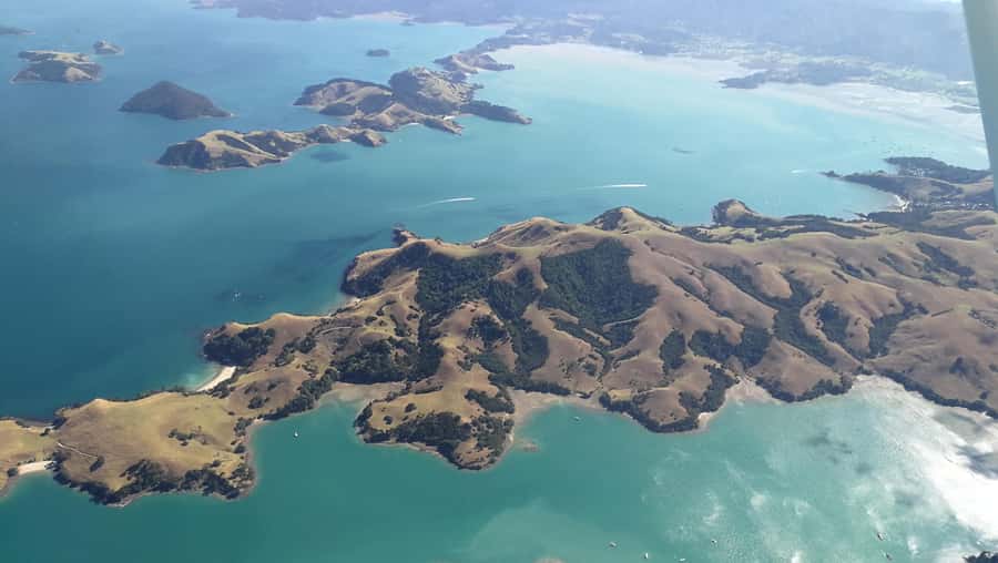 Auckland: Waiheke Island Wine and Food Tasting with Flights - What the three-course lunch adds
