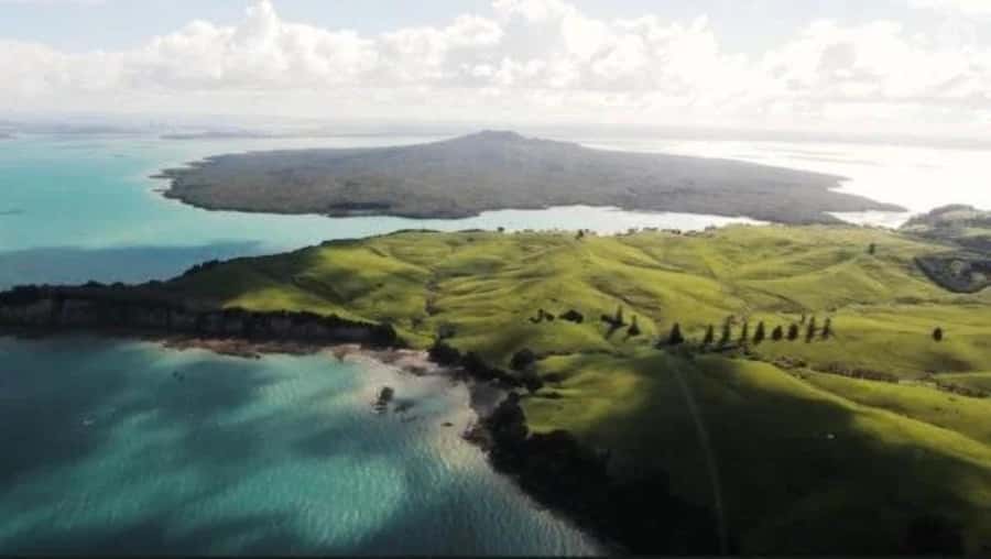 Auckland: Waiheke Island Wine and Food Tasting with Flights - Practical tips for a smoother day
