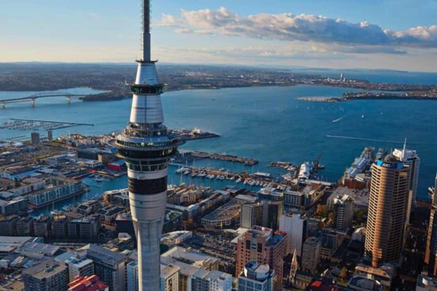 Auckland: Waiheke Island Wine and Food Tasting with Flights - From Auckland pickup to the island airfield
